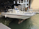 21ft Boston whaler dauntless