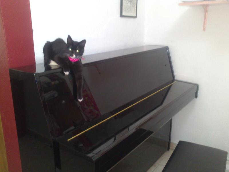 Cheapest Way to Ship a Piano vertical Yamaha to Ciudad de México uShip