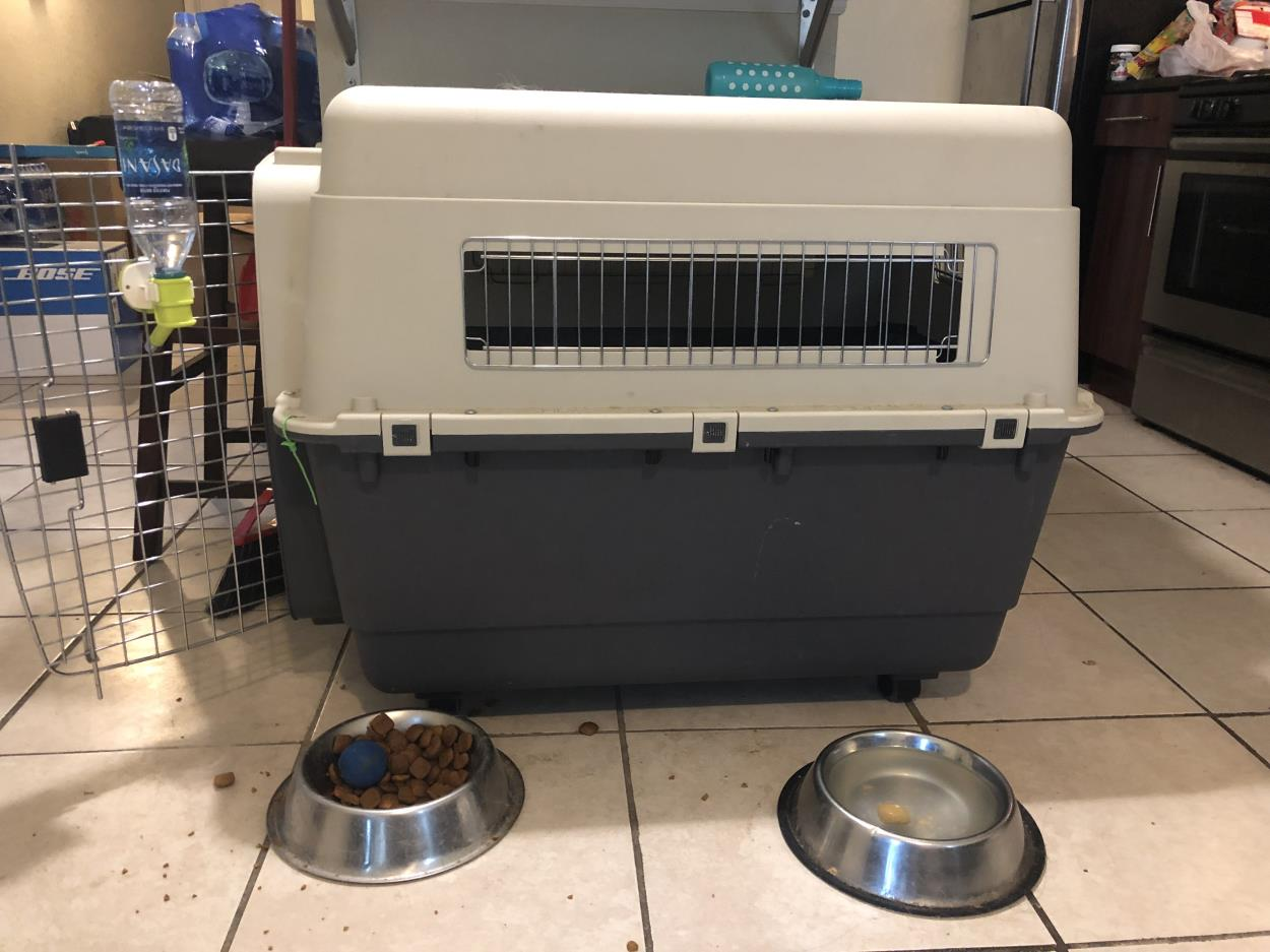 Cost to Ship Dog Transport Golden Retriever to Jersey City uShip