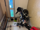 2024 BMW F 900 GS