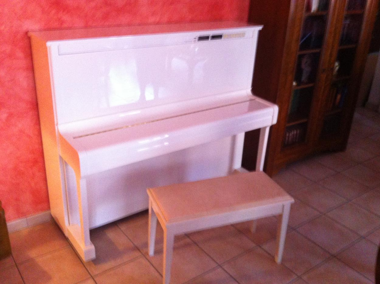 Cheapest Way to Ship a Piano macha to SaintJuireChampgillon uShip