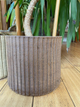 one box with three small pots