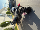 2014 Honda NC700X DCT ABS