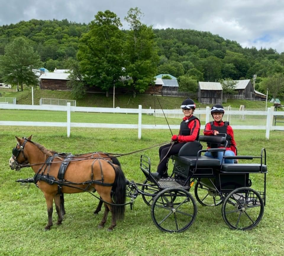 Deliver a 4 Wheel Miniature Horse Carriage to Martindale uShip