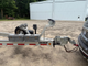 32’ Fountain Sportfish Cruiser on trailer