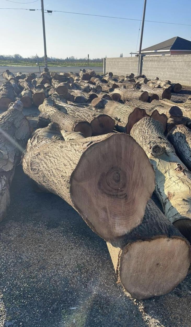 Equipment Shipping 65 heavy equipment items for transport to Pollock