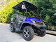 Bighorn Gas Golf Cart