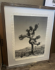 Framed Wall Art