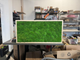 Art Frame - Natural Moss Artwork