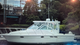 tiara 2900 open