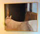 Large framed canvas painting