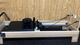 Balanced Body Pilates Studio Reformer