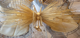 Strada Linear Chandelier