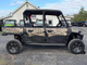 Large Electric UTV